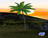 Animated Palm Tree