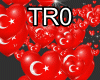 Turkish Heart Particles