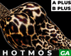 Leopard A B PLUS BIMBO