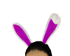 sexy bunny ears
