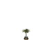 Lit Palm Tree-1