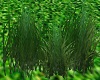 Bladed Grass