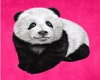 Pink/Black Panda Room