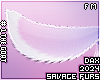 . Fi 2.0 | tail