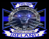 twi ireland security f