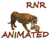 ~RnR~AMAZON PET TIGER 6