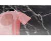 Moncs Embrioded Pink
