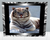 {ESD} White Tiger Frame