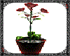 Sensual Flower Vase