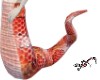 Cornsnake St body