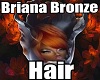 Briana Bronze Hair