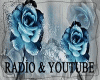 A~New Radio&Youtube