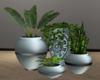 Plant Grouping