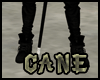 strict cane