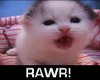 [S]: Rawr Purr Meow