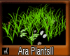 Ara PlantsII