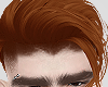 ぎ Kemp Ginger