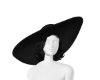Hat + Hair