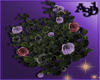 A3D* Witch Rose