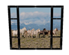 Herd of Horses Window
