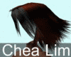 Chea Lim Hair01 07