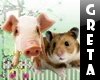 GT~Hamster&pig Enhancer