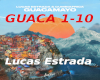 L. Estrada - Guacamayo