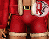 🦁 Noel Short Santa