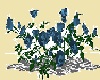 Blue Rose Bush