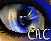 [C.A.C] Galax Blu Eyes F