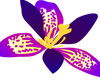 purple tropical flower