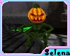 {S}Evil HalloweenPumpkin