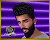 :XB: Camus Hairstyle M