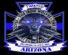 twi arizona banner