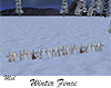 Winter Fence