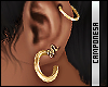 C. Gold Earrings