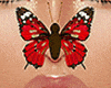 AMORE BUTTERFLY