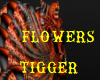 tigger flowers