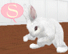 S. Easter white Bunny