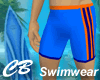 CB Blue Orange Swimwear