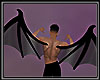 Bat Wings Black M/F