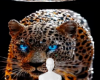Sparkly cat 4 background