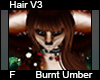 Burnt umber Hair F V3