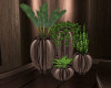 Country Vase Plants