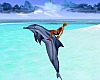 Wild Dolphin Ride