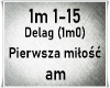Pierwsza milosc
