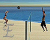 -E- Volleyball
