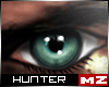 HMZ: -Assassin v1-