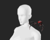 Shoulder Spider -Va