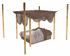 Canopy Bed w Poses